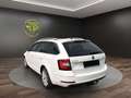 Skoda Octavia Style Limited **DSG u. inkl. Ahk** Weiß - thumbnail 4