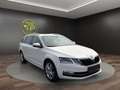 Skoda Octavia Style Limited **DSG u. inkl. Ahk** Weiß - thumbnail 8