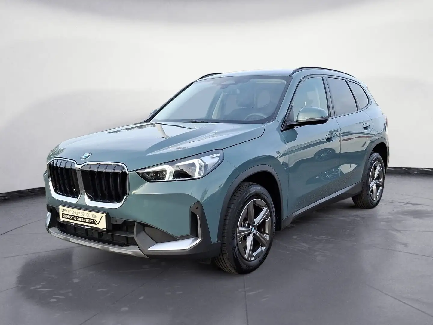 BMW X1 sDrive18d Steptronic Adaptiv LED Komfortzugan Verde - 2