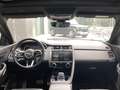 Jaguar E-Pace 2.0D I4 R-Dynamic SE AWD Aut. 204 Gris - thumbnail 4