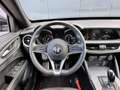 Alfa Romeo Stelvio 2.0T AWD 200pk Super│Veloce interieur│18'' velgen│ Noir - thumbnail 15