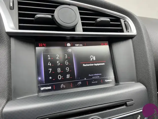 DS Automobiles DS 4 Crossback view 12