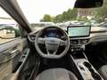 Ford Kuga ST-Line Automatik, 5JG, WInter-Paket, AHK Grün - thumbnail 15