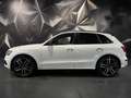 Audi SQ5 3.0 V6 BITDI 340CH PLUS QUATTRO TIPTRONIC Blanco - thumbnail 3