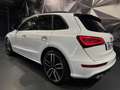 Audi SQ5 3.0 V6 BITDI 340CH PLUS QUATTRO TIPTRONIC Blanco - thumbnail 4
