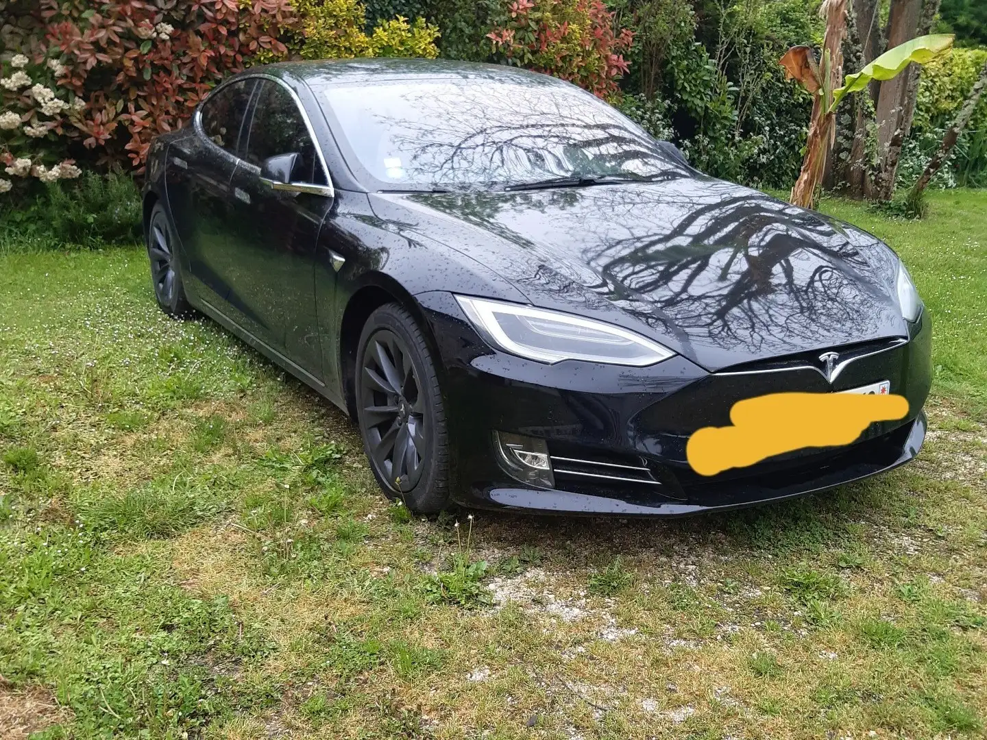 Tesla Model S 75 RWD - 1