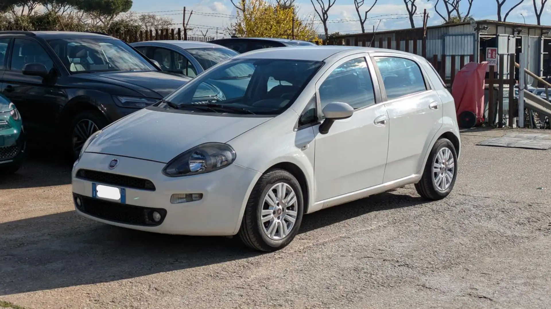 Fiat Punto 1.3mjt 84cv Bianco - 2
