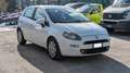 Fiat Punto 1.3mjt 84cv Bílá - thumbnail 3