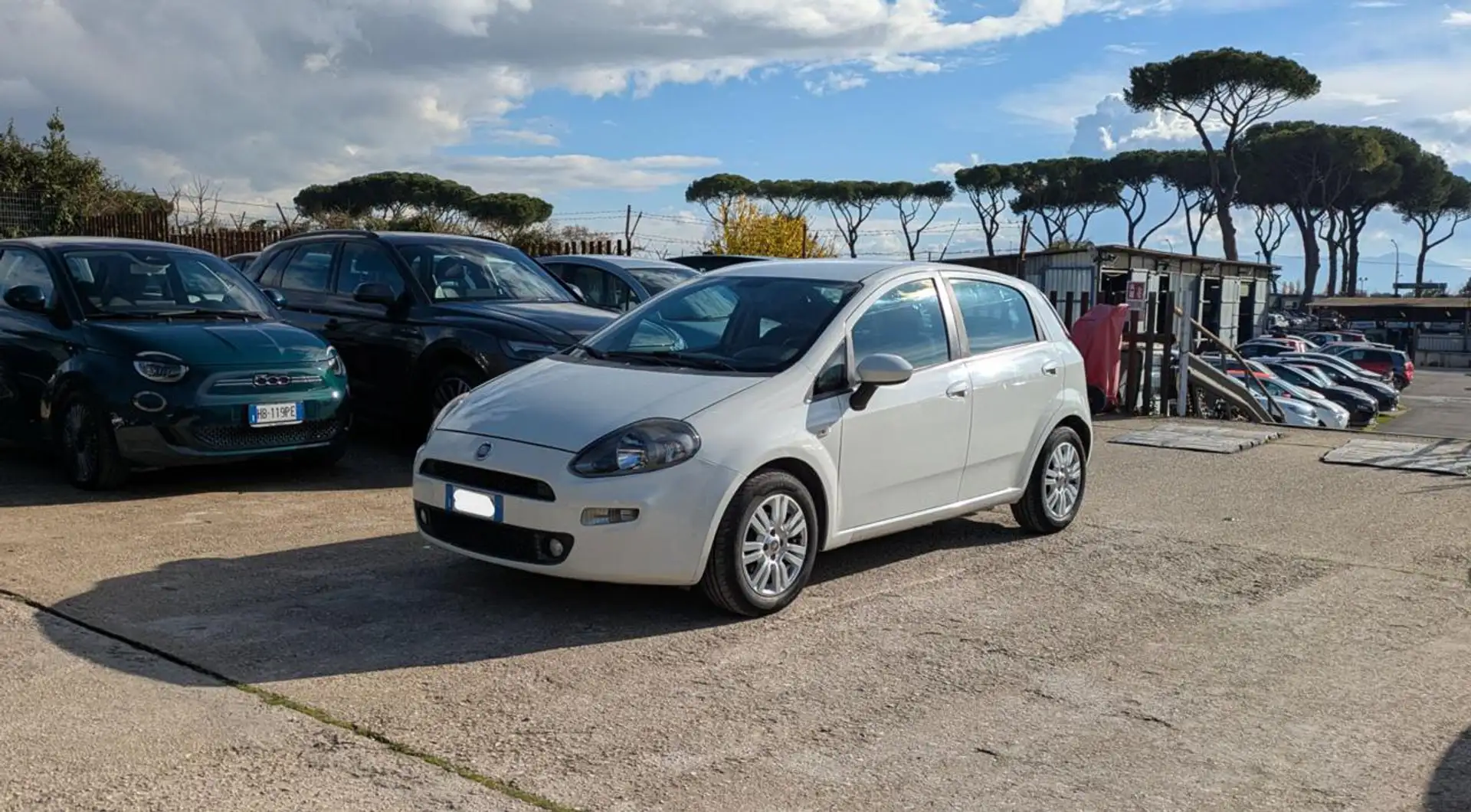 Fiat Punto 1.3mjt 84cv Bianco - 1