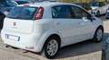 Fiat Punto 1.3mjt 84cv Bílá - thumbnail 4