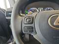 Lexus IS 300 300h Business Grau - thumbnail 14