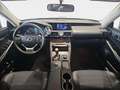 Lexus IS 300 300h Business Grau - thumbnail 12