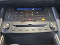 Lexus IS 300 300h Business Grau - thumbnail 22