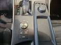 Lexus IS 300 300h Business Grau - thumbnail 29