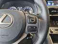 Lexus IS 300 300h Business Grau - thumbnail 15