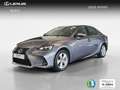 Lexus IS 300 300h Business Grau - thumbnail 1
