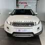 Land Rover Range Rover Evoque 2.2L eD4 Pure 4x2 Blanc - thumbnail 4