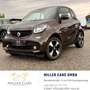 smart city-coupé/city-cabrio Smart fortwo Perfect *Servicegepflegt mit Garan... Brun - thumbnail 2