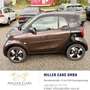 smart city-coupé/city-cabrio Smart fortwo Perfect *Servicegepflegt mit Garan... Braun - thumbnail 8