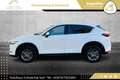 Mazda CX-5 CD150 Takumi // HEAD-UP // 360*GRAD KAMERA // A... Weiß - thumbnail 8