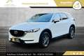 Mazda CX-5 CD150 Takumi // HEAD-UP // 360*GRAD KAMERA // A... Weiß - thumbnail 3