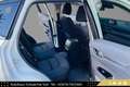 Mazda CX-5 CD150 Takumi // HEAD-UP // 360*GRAD KAMERA // A... Weiß - thumbnail 25