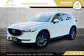 Mazda CX-5 CD150 Takumi // HEAD-UP // 360*GRAD KAMERA // A... Weiß - thumbnail 11