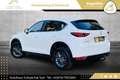 Mazda CX-5 CD150 Takumi // HEAD-UP // 360*GRAD KAMERA // A... Weiß - thumbnail 13