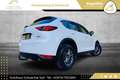 Mazda CX-5 CD150 Takumi // HEAD-UP // 360*GRAD KAMERA // A... Weiß - thumbnail 17