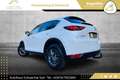 Mazda CX-5 CD150 Takumi // HEAD-UP // 360*GRAD KAMERA // A... Weiß - thumbnail 10
