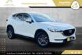 Mazda CX-5 CD150 Takumi // HEAD-UP // 360*GRAD KAMERA // A... Weiß - thumbnail 1