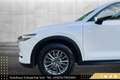 Mazda CX-5 CD150 Takumi // HEAD-UP // 360*GRAD KAMERA // A... Weiß - thumbnail 12