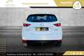 Mazda CX-5 CD150 Takumi // HEAD-UP // 360*GRAD KAMERA // A... Weiß - thumbnail 6