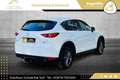 Mazda CX-5 CD150 Takumi // HEAD-UP // 360*GRAD KAMERA // A... Weiß - thumbnail 2