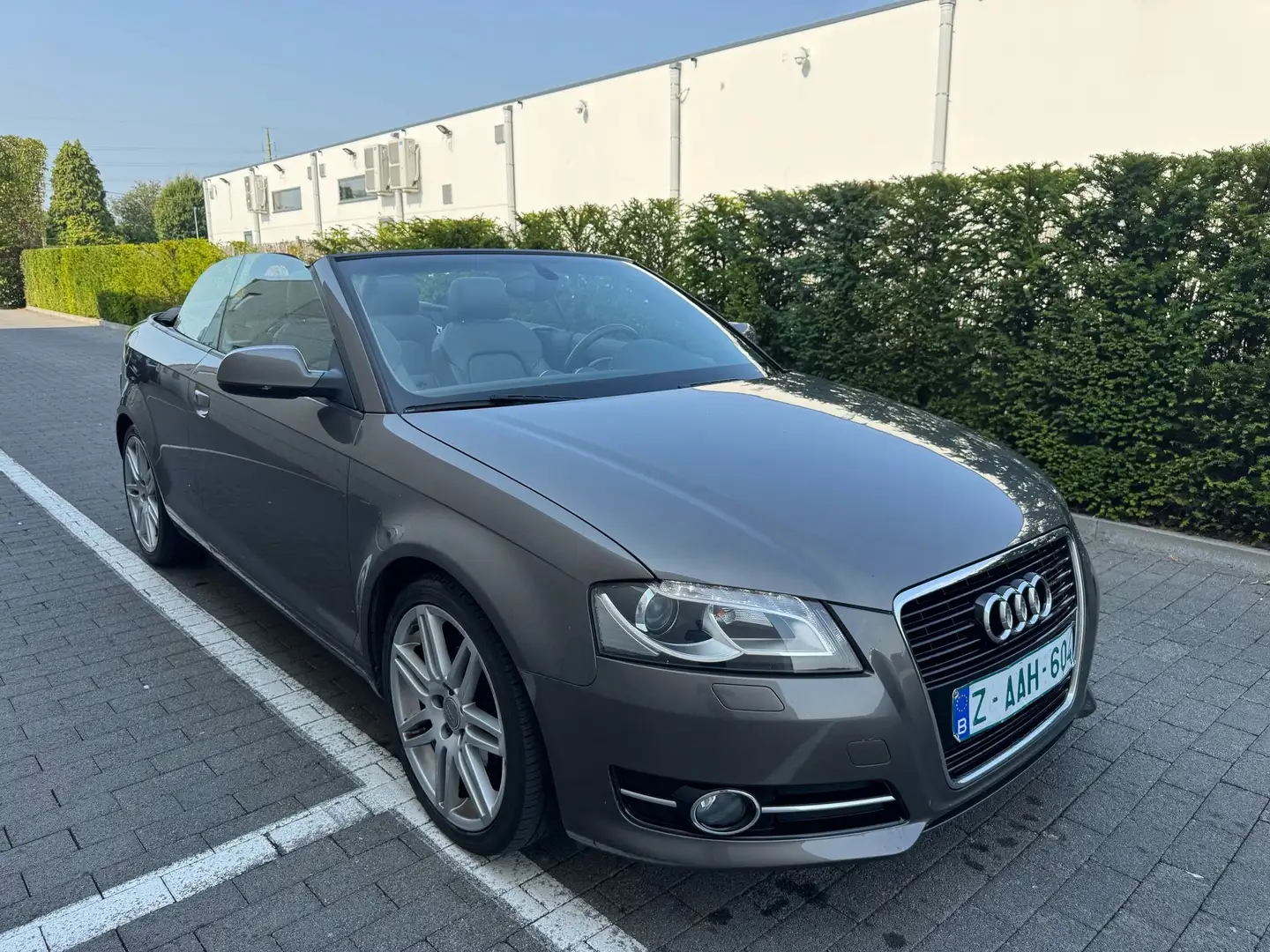 Audi A3 A3 Cabriolet 1.6 TDi Ambition Start/Stop DPF Beige - 1