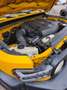 Toyota FJ Cruiser 2 RWD   2 ROUES MOTRICES Amarillo - thumbnail 12