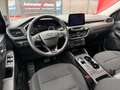 Ford Kuga 1,5 EcoBlue Titanium Aut. Blau - thumbnail 12