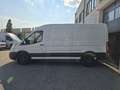 Ford Transit 350 L3 Trend Weiß - thumbnail 3