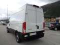 Iveco Daily 35 S 12  2.3HPI 116 cv PM-TM Bianco - thumbnail 8