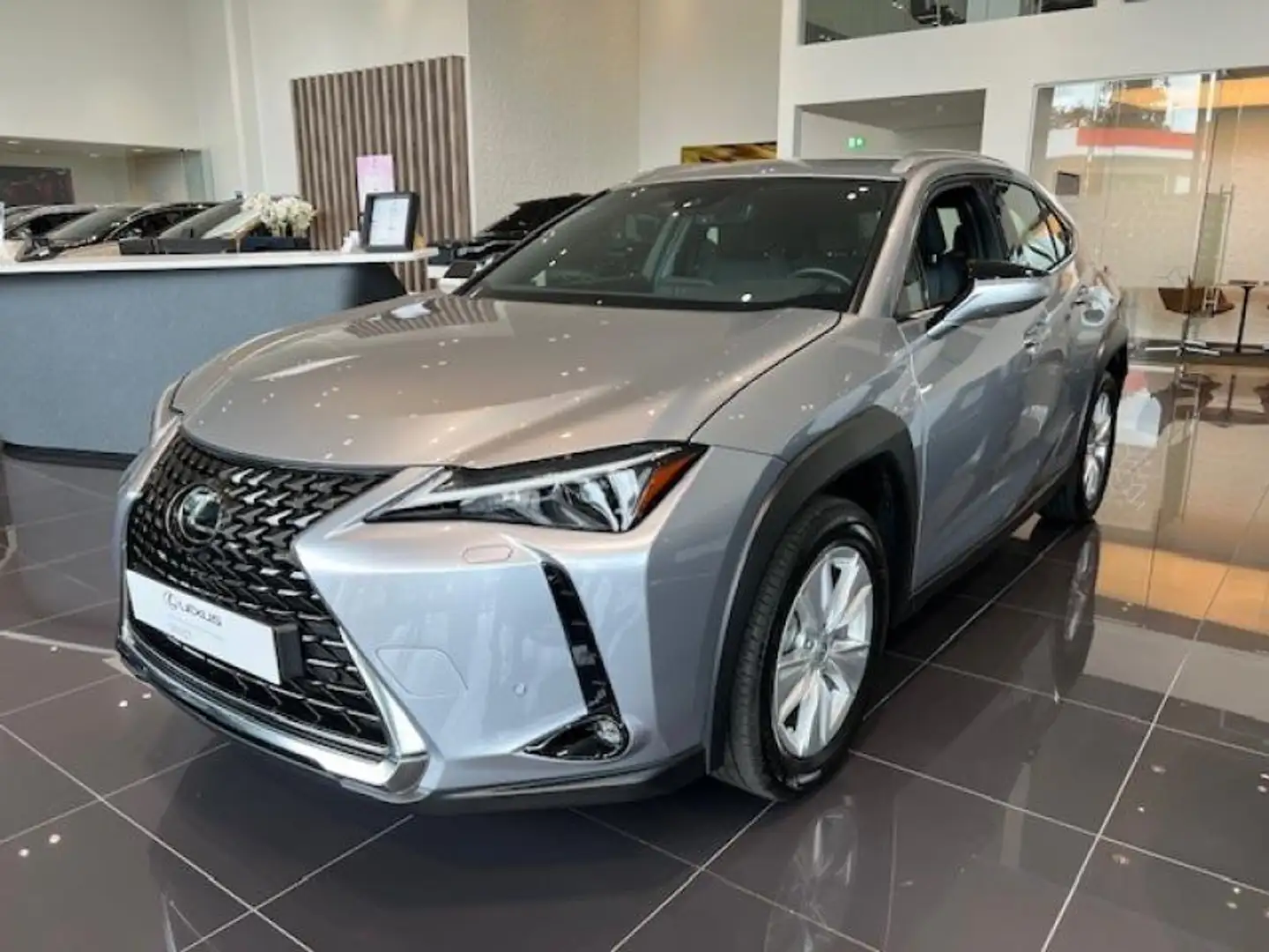 Lexus UX 250h Comfort Line Grau - 1