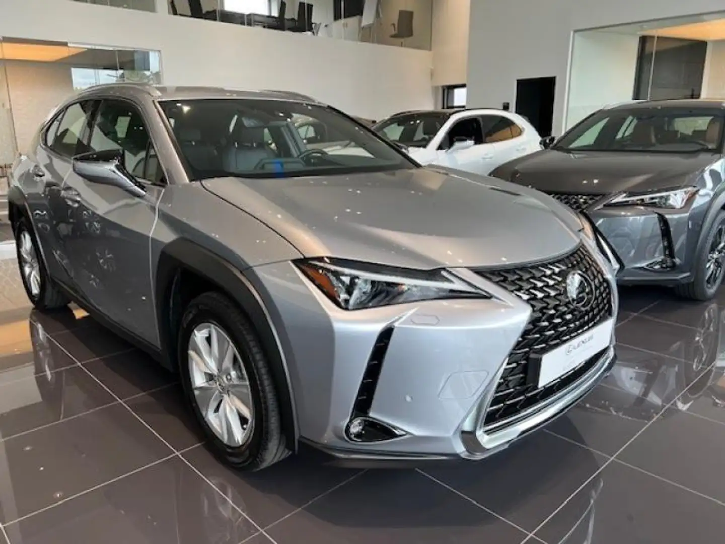 Lexus UX 250h Comfort Line Grau - 2