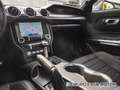Ford Mustang 5.0 Ti VCT V8 450cv GT Blanco - thumbnail 26