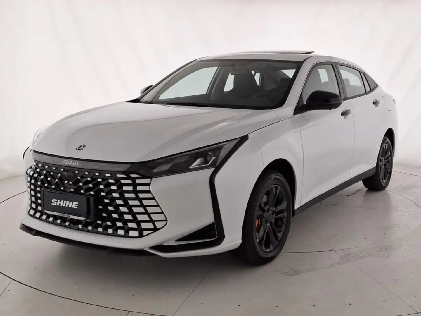 Dongfeng Shine Shine ICE E2 Weiß - 1