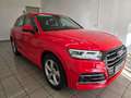 Audi Q5 55 TFSIe qu. S Line Individual Matrix Luft 360° Rot - thumbnail 4