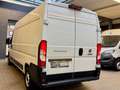 Fiat Ducato 2.2 D L4H2 3,5t KLIMA CAM PDC 3-SITZER Weiß - thumbnail 7