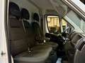 Fiat Ducato 2.2 D L4H2 3,5t KLIMA CAM PDC 3-SITZER Weiß - thumbnail 19