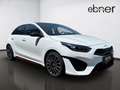 Kia Ceed / cee'd Ceed 1.6T-GDI GT 204PS Glas-Schiebedach / Komfor Blanc - thumbnail 16