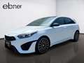 Kia Ceed / cee'd Ceed 1.6T-GDI GT 204PS Glas-Schiebedach / Komfor Blanc - thumbnail 3
