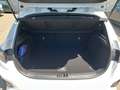 Kia Ceed / cee'd Ceed 1.6T-GDI GT 204PS Glas-Schiebedach / Komfor Blanc - thumbnail 12