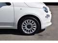 Fiat 500 1.0 Hybrid REGUL PDC 1° MAIN Blanc - thumbnail 5
